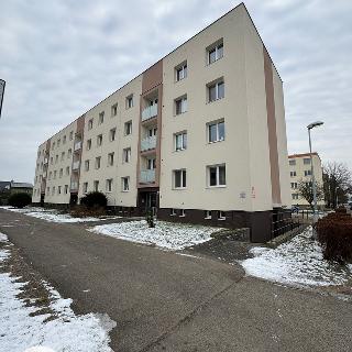 Pronájem bytu 3+1 66 m² Hradec Králové, Kpt. Fechtnera