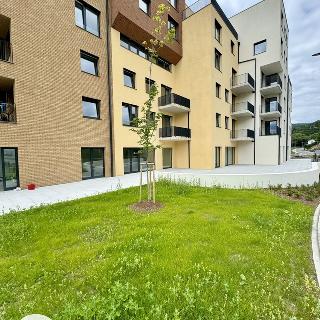 Pronájem bytu 2+kk 44 m² Český Krumlov, Za Jitonou