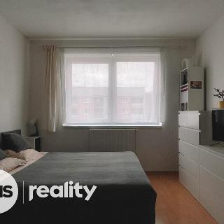 Pronájem bytu 1+kk a garsoniéry 29 m² Olomouc, Peškova