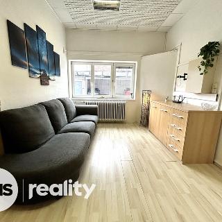 Pronájem bytu 2+1 47 m² Ostrava, Švabinského