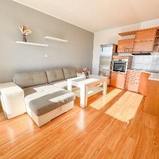 Prodej bytu 2+kk 42 m² Hluboká nad Vltavou