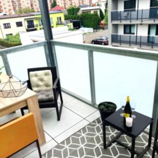 Pronájem bytu 1+1 32 m² České Budějovice, Opatovická