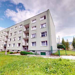 Prodej bytu 1+1 41 m² Ústí nad Labem, Seifertova