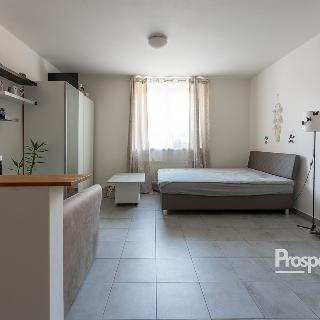 Prodej bytu 1+kk a garsoniéry 34 m² Brno, Křenová