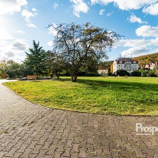 Prodej bytu 4+1 107 m² Ústí nad Labem, Palachova