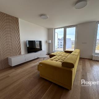 Pronájem bytu 4+kk 158 m² Brno, Placzkova