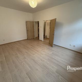 Pronájem bytu 1+1 36 m² Jihlava, Seifertova