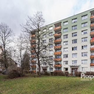 Pronájem bytu 2+1 62 m² Ústí nad Labem, Hornická