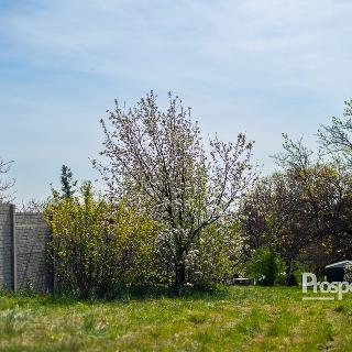 Prodej stavební parcely 650 m² Ořechov