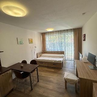 Pronájem bytu 1+kk a garsoniéry 26 m² Brno, Vídeňská