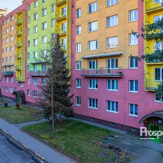 Prodej bytu 3+1 65 m² Havířov, Kosmonautů