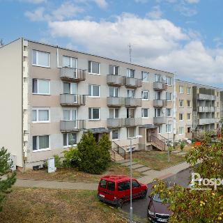 Prodej bytu 2+1 56 m² Dobšice, V Zahradách