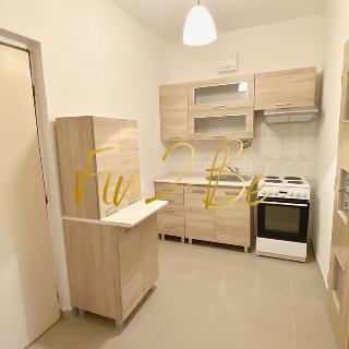 Pronájem bytu 2+kk 36 m² Bochov, Obuvnická