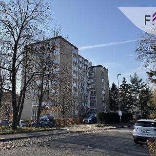 Prodej bytu 2+1 47 m² Liberec, Dvorská