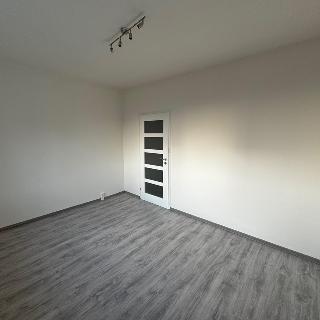 Pronájem bytu 2+kk 42 m² Česká Lípa, Dlouhá