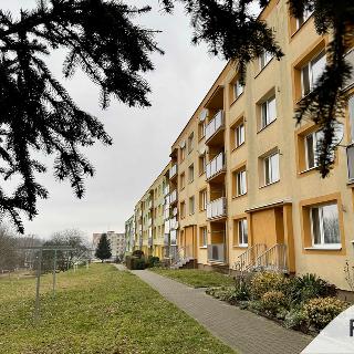 Prodej bytu 2+1 63 m² Hrádek nad Nisou, Liberecká