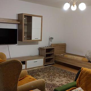 Pronájem bytu 1+1 59 m&sup2; Kolín