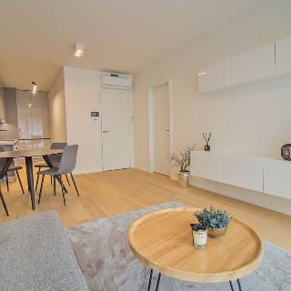 Pronájem bytu 2+kk 62 m² Praha, Kotlaska