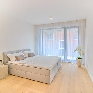 Pronájem bytu 2+kk 64 m² Praha, Kotlaska