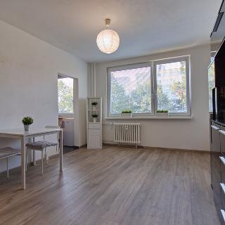 Prodej bytu 1+kk a garsoniéry 30 m² Praha, Brechtova