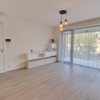 Pronájem bytu 2+kk 62 m² Praha, Kotlaska