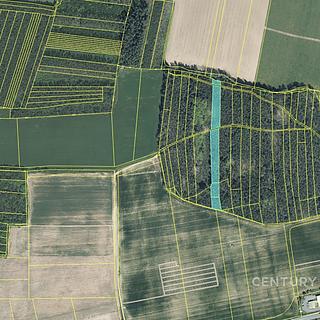 Prodej lesa 4433 m&sup2; Staňkov