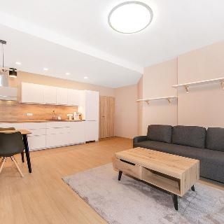 Pronájem bytu 2+kk 92 m² Plzeň, Bolevecká