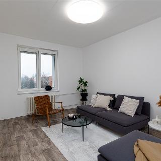 Prodej bytu 2+1 50 m² Pardubice, Družstevní