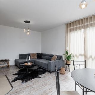 Prodej rodinného domu 166 m² Zruč-Senec, Zlatá