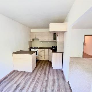 Pronájem bytu 3+1 75 m² Teplice, Opavská