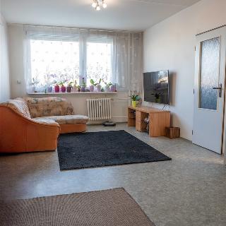 Prodej bytu 4+1 73 m² Praha, V jezírkách