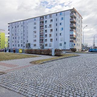 Prodej bytu 1+kk a garsoniéry 30 m² Olomouc, Janského