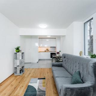 Prodej bytu 2+kk 52 m² Praha, U vysočanského pivovaru