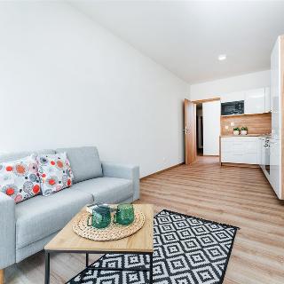 Pronájem bytu 2+kk 50 m² Praha, Plzeňská