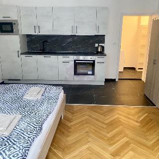 Pronájem bytu 1+kk a garsoniéry 32 m² Jáchymov, třída Dukelských hrdinů