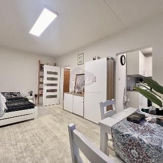 Pronájem bytu 1+kk a garsoniéry 30 m² Praha, Kunínova