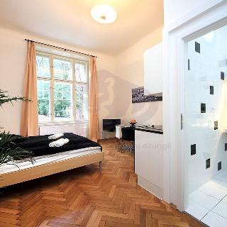 Pronájem bytu 1+kk a garsoniéry 28 m² Praha, Široká