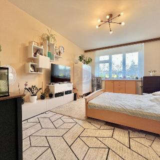 Pronájem bytu 2+kk 50 m² Praha, Karafiátová