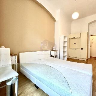 Pronájem bytu 1+kk a garsoniéry 31 m² Praha, Vodičkova