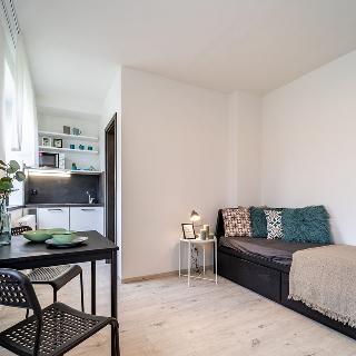 Pronájem bytu 1+kk a garsoniéry 16 m² Brno, Ulrychova