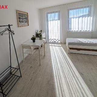 Pronájem bytu 1+kk a garsoniéry 20 m² Brno, Ulrychova