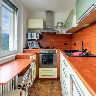 Prodej bytu 2+1 50 m² Adamov, Družstevní