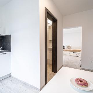 Pronájem bytu 1+kk a garsoniéry 23 m² Brno, Ulrychova