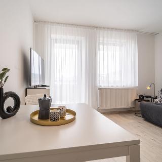 Pronájem bytu 1+kk a garsoniéry 20 m² Brno, Ulrychova