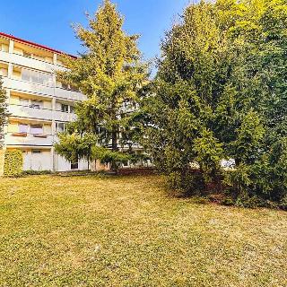 Pronájem bytu 3+1 82 m² Brno, Stamicova