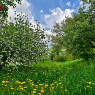 Prodej stavební parcely 2 064 m² Koryčany