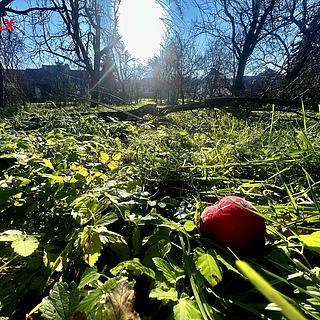 Prodej stavební parcely 1608 m&sup2; Podolí