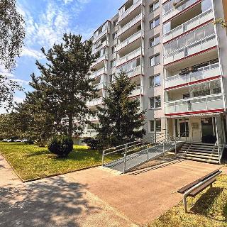 Prodej bytu 2+kk 53 m² Brno, Ukrajinská