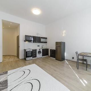 Pronájem bytu 1+kk a garsoniéry 40 m² Praha, Štěpánská