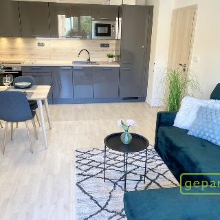 Pronájem bytu 2+kk 52 m² Jince, Zborovská